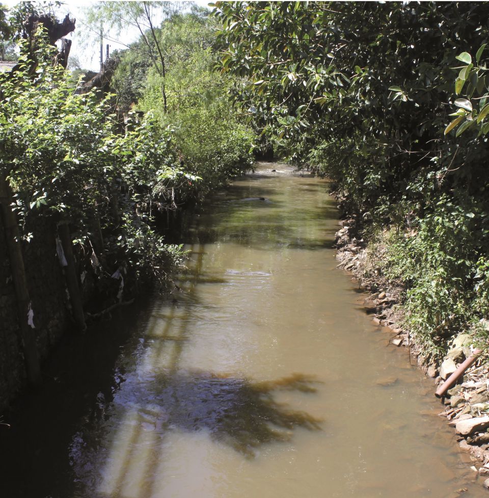 Revista Servioeste Sade e Meio Ambiente - Arroio Barnab, um importante afluente do Rio Gravata, sofre com a poluio.