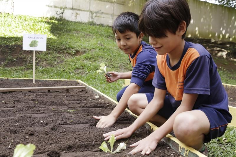 Revista Servioeste Sade e Meio Ambiente - 