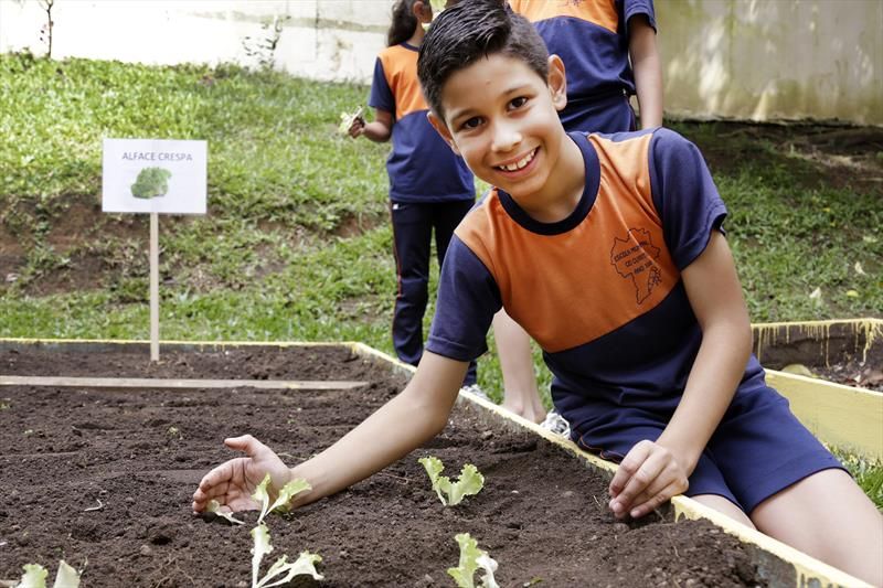Revista Servioeste Sade e Meio Ambiente - 
