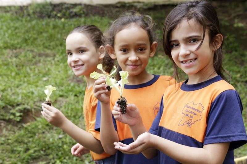Revista Servioeste Sade e Meio Ambiente - 