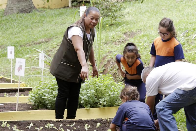 Revista Servioeste Sade e Meio Ambiente - 