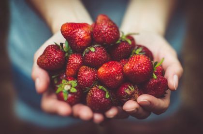 Revista Servioeste Sade e Meio Ambiente Leguminosas, como feijão e ervilha, apresentam bons níveis de triptofano, que ajuda na formação da serotonina. Assim como as leguminosas, a banana também é rica...