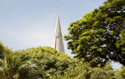 Revista Servioeste Sade e Meio Ambiente Estudos apontam que locais arborizados economizam recursos públicos, por exemplo, na manutenção de áreas pavimentadas. Áreas arborizadas, quando comparadas...