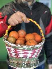 Revista Servioeste Sade e Meio Ambiente Comprando sade Para os agricultores catarinenses Davi de Oliveira e Ricardo Sartori, eles estão plantando saúde. Há cinco anos entraram no mercado de produtos orgânicos e veem a...